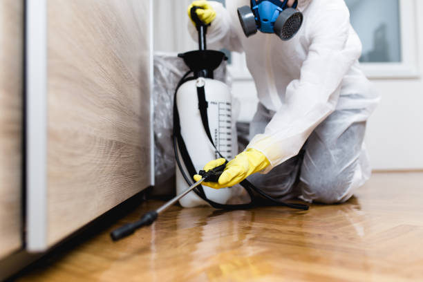Best Rat Extermination Near Me  in Coronita, CA