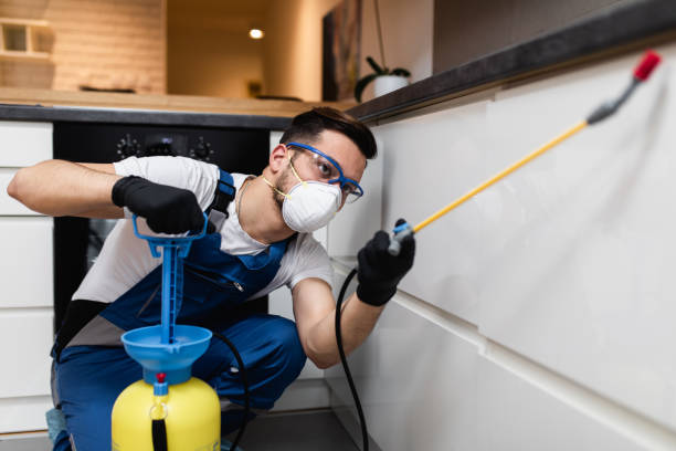 Best Cockroach Control Services  in Coronita, CA