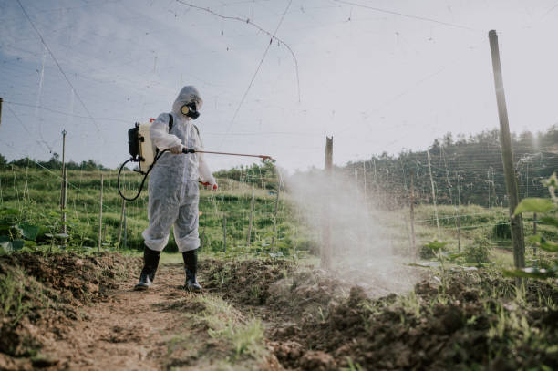 Best Pest Control for Businesses  in Coronita, CA
