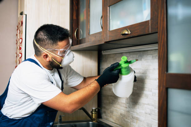 Best Emergency Pest Control  in Coronita, CA
