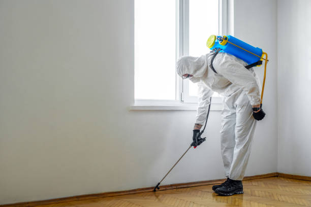 Best Pest Control for Homes  in Coronita, CA