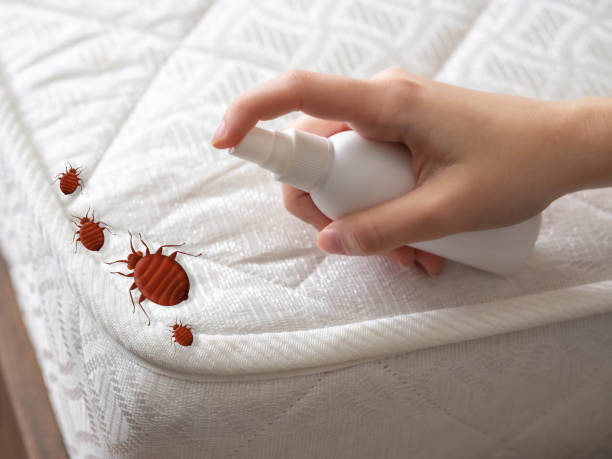 Best Pest Control Near Me  in Coronita, CA